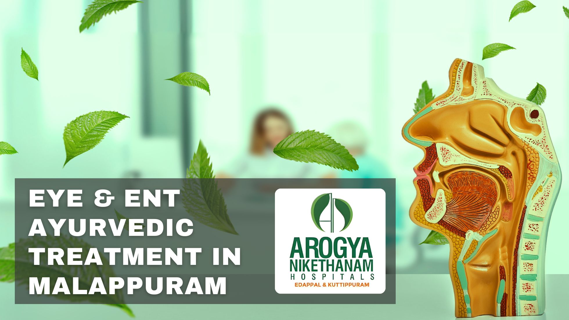 Holistic Ayurvedic treatment for Eye and ENT conditions in Malappuram featuring natural therapies and serene care environment.